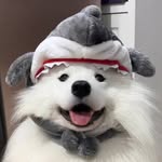 Eric Zhuang - @ericz1108 - Instagram