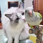 Eric Zhuang - @ericzhuang1 - Instagram
