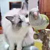ericzhuang1 - @ericzhuang1 - TikTok