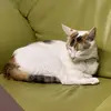 ericzhuang4291 - @ericzhuang4291 - TikTok