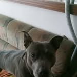 Richard Zielman - @richardzielman51 - Instagram