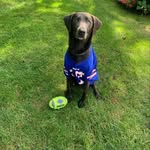 Erik Zobel - @ezobel3 - Instagram