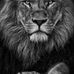 Erick Zook - Facebook