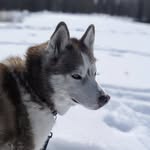 Erica Bean - @natures_bean - Instagram