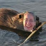 @_beaver_erica_ - Instagram