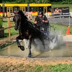 Erika Bernhard - Facebook