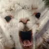 erica_beth - @ericabeth_ - TikTok