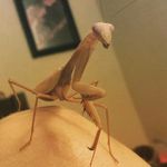 Erica Block - @candidmantis - Instagram