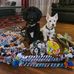 Erica Blumenthal - Facebook
