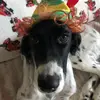 Erica - @ericadbolt - TikTok