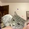 Harper-harpie - @ericaboltz823 - TikTok