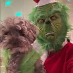 Erica Branson - @branson.erica - Instagram