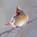 Erica Bruner - Facebook
