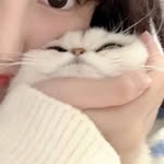 EricaCantrell - @ericacantrell78 - Instagram