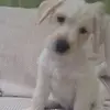 Follow me pls - @ericachamberlain123 - TikTok