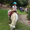 erica.close - @user478634796 - TikTok