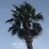 ericacooley08 - @initalsthings489 - TikTok
