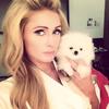 EricaCrowe409560 - @ericacrowe409560 - TikTok
