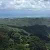 ericacrowder225 - @ericacrowder225 - TikTok