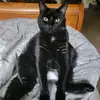 Erica Deane - @ericadeane1 - TikTok