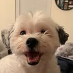 Erica deane - @deane6357 - Instagram