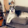 Erica Dodd - @lcpzfbzf95180 - TikTok