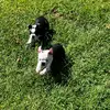 Ericka Doyle790 Doyle’s Boston - @erickadoyle790 - TikTok