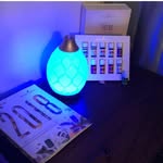 Erica Favela - @essential__oil_with_erica_ - Instagram