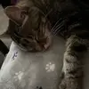 Erica Gallo - @ericagallo16 - TikTok