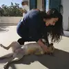 Erica Giannone - @ericagian95 - TikTok
