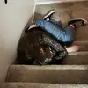 erica - @ericahaleyy - TikTok