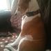 Erica Helms - Facebook
