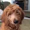 Erica Helmich - @erica.helmich - TikTok