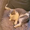 ericajohnston - @erica_bo_barica - TikTok