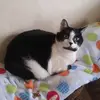 ericakahnobrien - @ericakahnobrien - TikTok