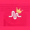Musicaly - @_lemastererica_ - TikTok