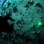 Erica orcatorch dive light - @erica.orcatorch - Instagram