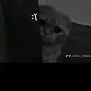 Erica Lorenzo - @erica.lorenzo50 - TikTok