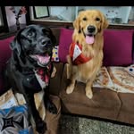 Erica Francis Mathew - @erica_francismathew - Instagram
