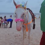 Erica Mathew - Facebook