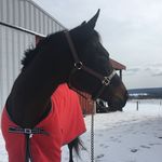 Erica McElroy - @mcelroy7415 - Instagram