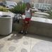 Erika Mcleod - Facebook