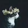 Erica Millendez - @ericamillendez - TikTok