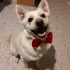 Erica Molettieri - @ericamolettieri - TikTok