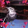 ericapenton - @ericapenton - TikTok