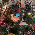 Erica Piatt - Facebook
