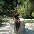 Erica Erica - @erica_primavera - Instagram