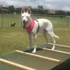 ericareddo - @ericareddo - TikTok