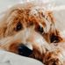 Erika Redding - Facebook