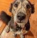 Erica Sauve - Facebook